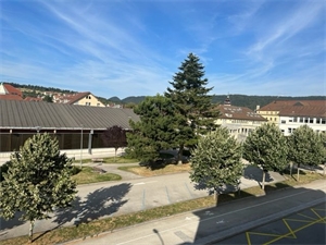 t2 à la vente -   25300  PONTARLIER, surface 42 m2 vente t2 - UBI482323631